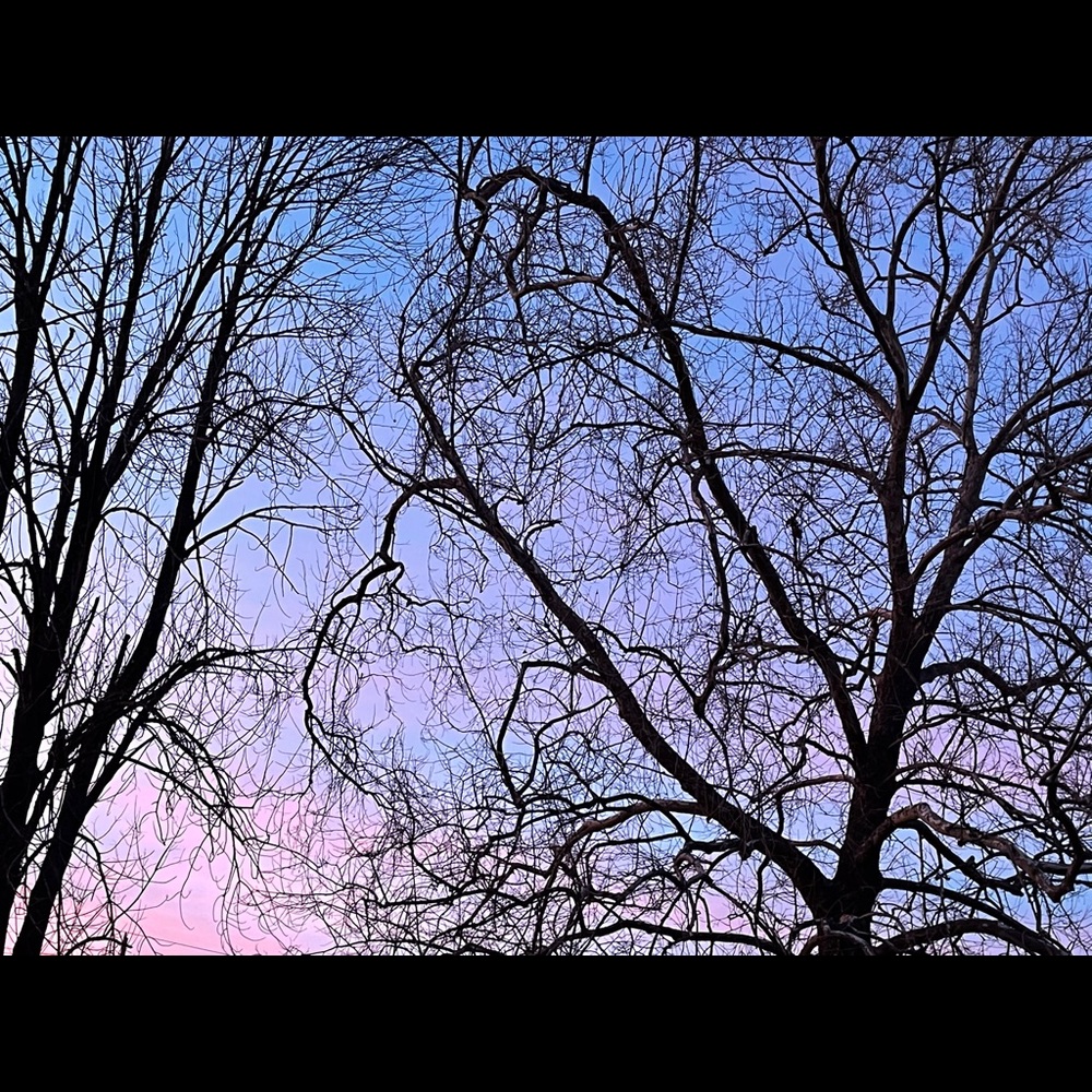 Meet your Posher, Michaela